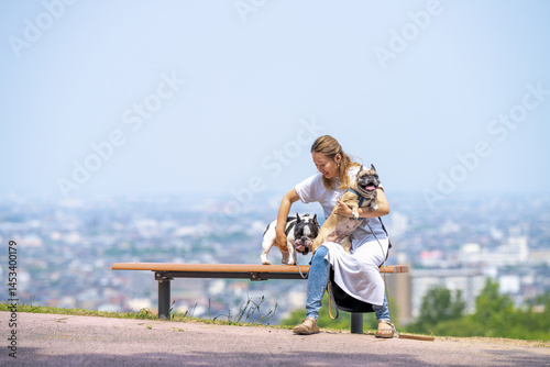 Obraz na płótnie On a summer morning in a park with blooming hydrangeas, a Japanese woman in her 30s walks two French Bulldogs. They sit on a hilltop bench, overlooking the city, with flowers and greenery all around. w salonie