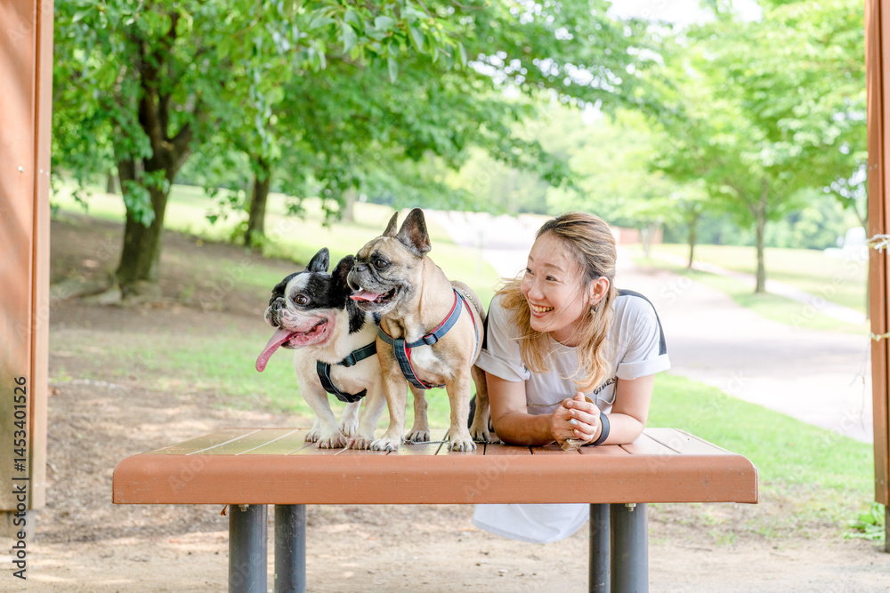 On a summer morning in a park with blooming hydrangeas, a Japanese woman in her 30s walks two French Bulldogs. Sitting on a bench, they share a moment, surrounded by flowers and early summer greenery