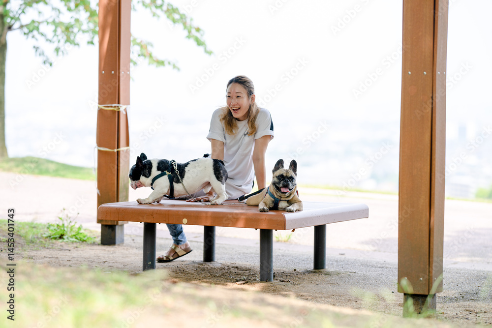 On a summer morning in a park with blooming hydrangeas, a Japanese woman in her 30s walks two French Bulldogs. Sitting on a bench, they share a moment, surrounded by flowers and early summer greenery
