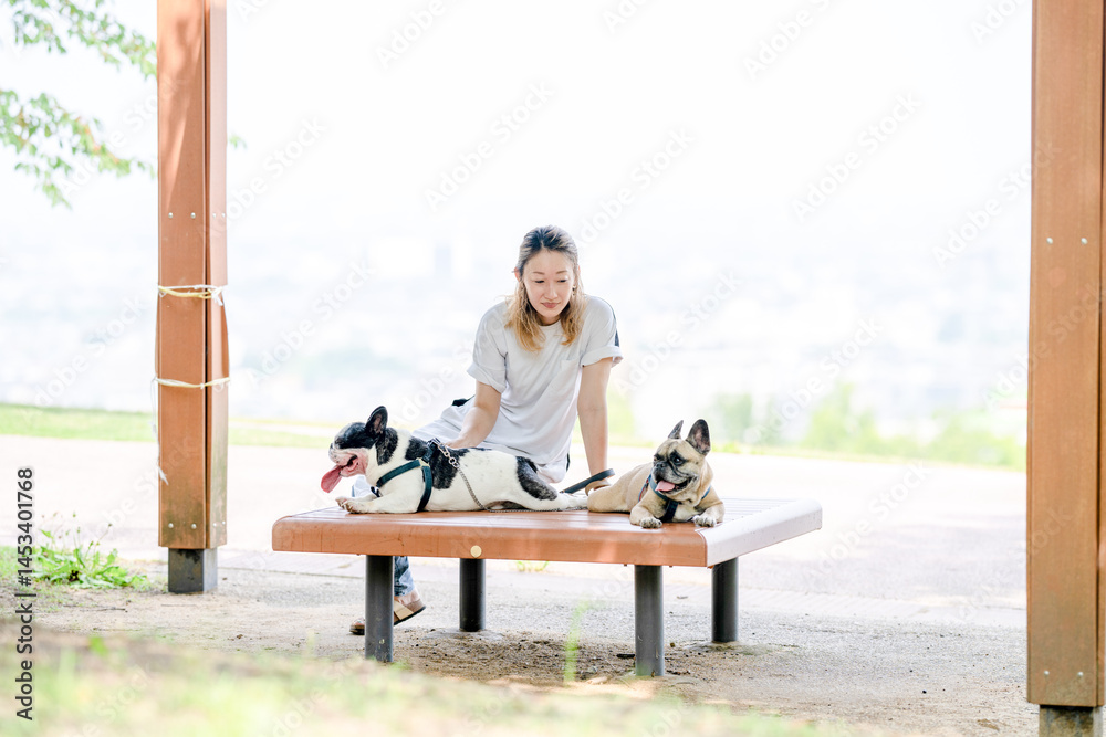 On a summer morning in a park with blooming hydrangeas, a Japanese woman in her 30s walks two French Bulldogs. Sitting on a bench, they share a moment, surrounded by flowers and early summer greenery