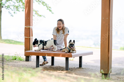 Obraz na płótnie On a summer morning in a park with blooming hydrangeas, a Japanese woman in her 30s walks two French Bulldogs. Sitting on a bench, they share a moment, surrounded by flowers and early summer greenery w salonie