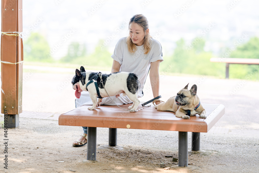 On a summer morning in a park with blooming hydrangeas, a Japanese woman in her 30s walks two French Bulldogs. Sitting on a bench, they share a moment, surrounded by flowers and early summer greenery
