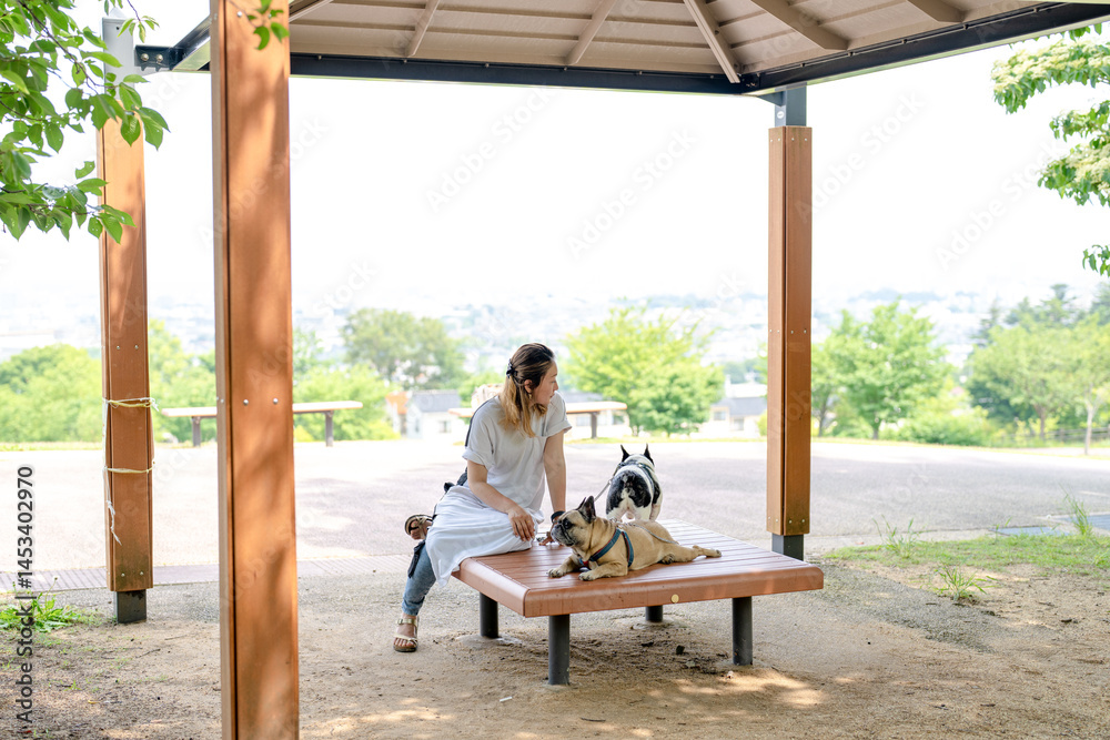 On a summer morning in a park with blooming hydrangeas, a Japanese woman in her 30s walks two French Bulldogs. Sitting on a bench, they share a moment, surrounded by flowers and early summer greenery