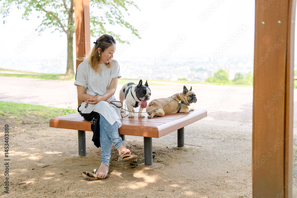 On a summer morning in a park with blooming hydrangeas, a Japanese woman in her 30s walks two French Bulldogs. Sitting on a bench, they share a moment, surrounded by flowers and early summer greenery