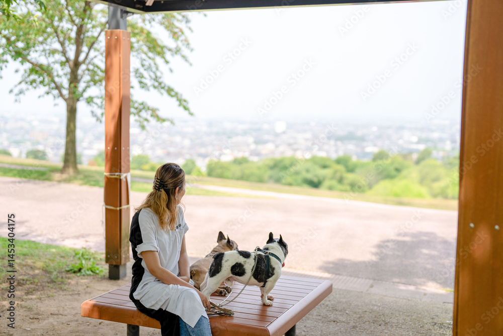 On a summer morning in a park with blooming hydrangeas, a Japanese woman in her 30s walks two French Bulldogs. Sitting on a bench, they share a moment, surrounded by flowers and early summer greenery