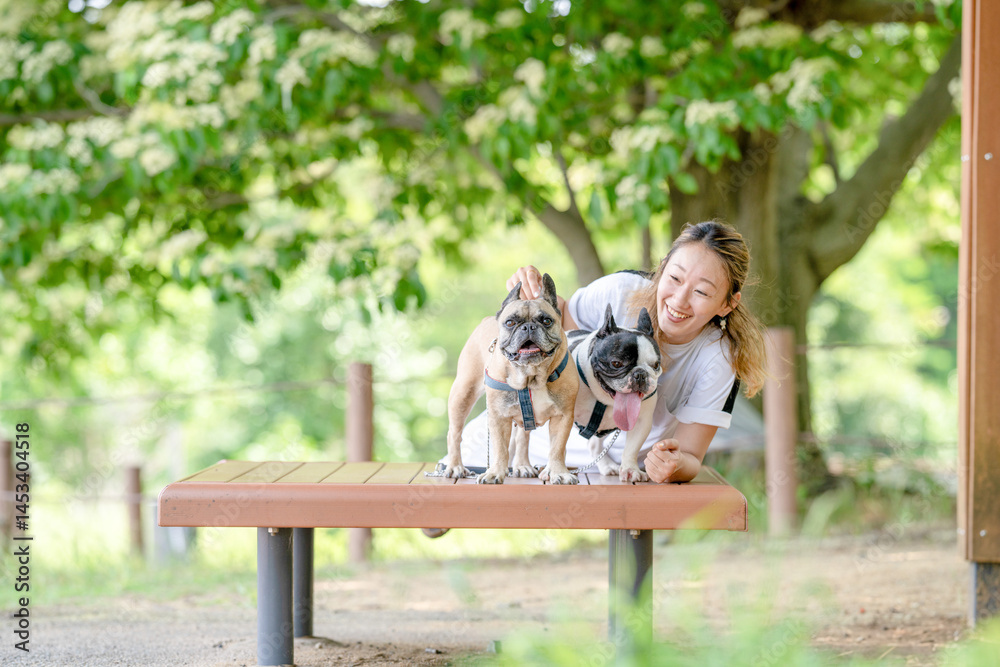 On a summer morning in a park with blooming hydrangeas, a Japanese woman in her 30s walks two French Bulldogs. Sitting on a bench, they share a moment, surrounded by flowers and early summer greenery