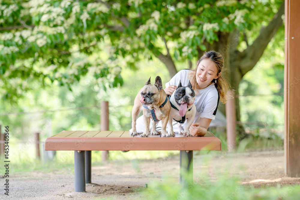 On a summer morning in a park with blooming hydrangeas, a Japanese woman in her 30s walks two French Bulldogs. Sitting on a bench, they share a moment, surrounded by flowers and early summer greenery