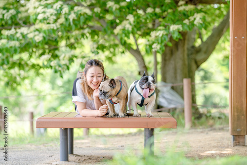 On a summer morning in a park with blooming hydrangeas, a Japanese woman in her 30s walks two French Bulldogs. Sitting on a bench, they share a moment, surrounded by flowers and early summer greenery