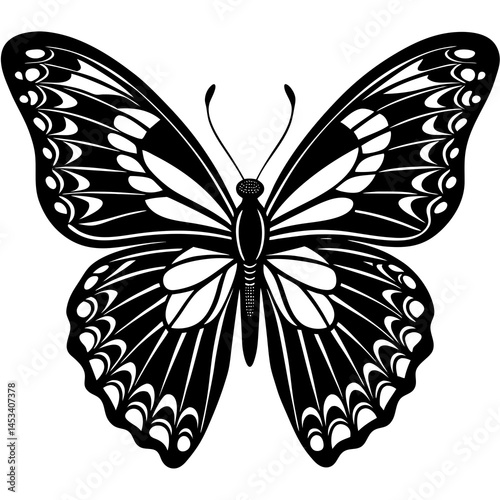 A butter fly silhouette on white background