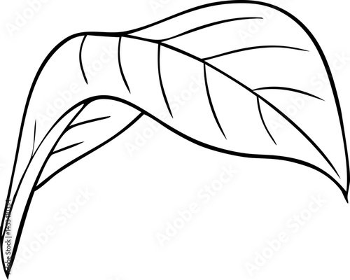 vector illustration of an abstract background