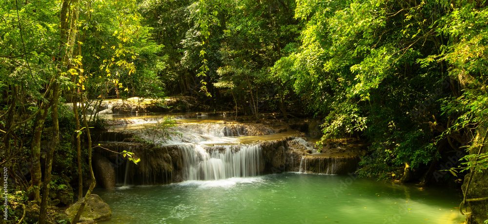 Naklejka premium waterfall in the forest