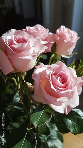 delicate pink roses on a green background