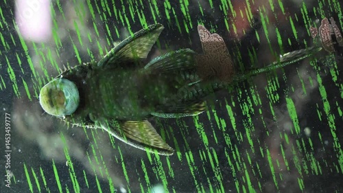 Animal portrait at the zoo