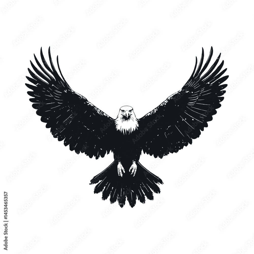 Obraz premium Bald Eagle Drawing Vector White Background,Generative Ai