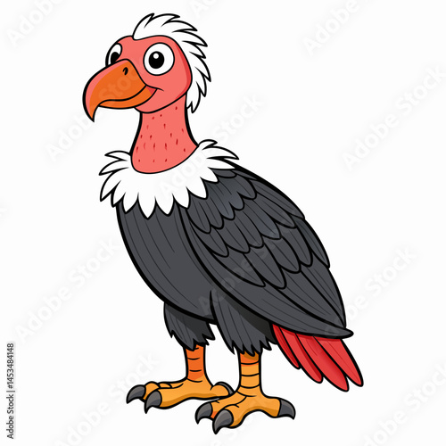 vulture isolated on white