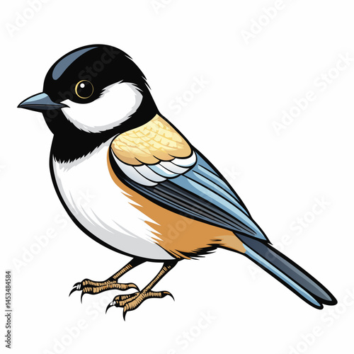blue tit isolated on white background