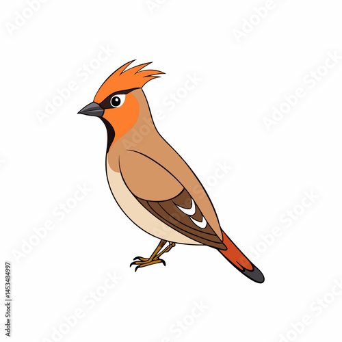 robin on a branch