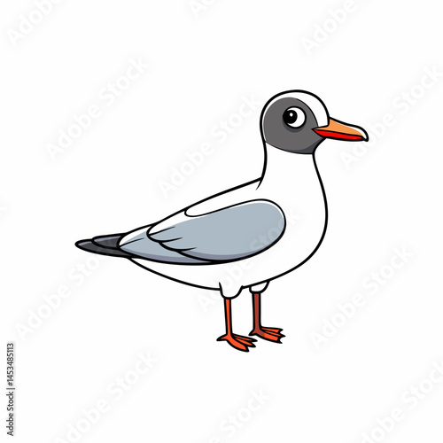 seagull isolated on white