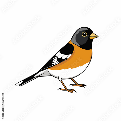 bird on a branch