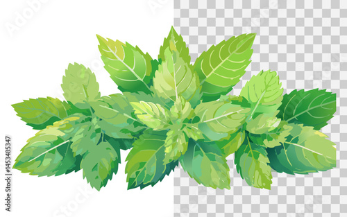 a sprig of leaves flat illustration with watercolor style
