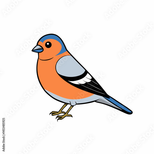 robin on a branch