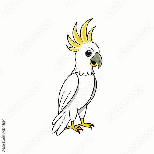 cockatoo white background