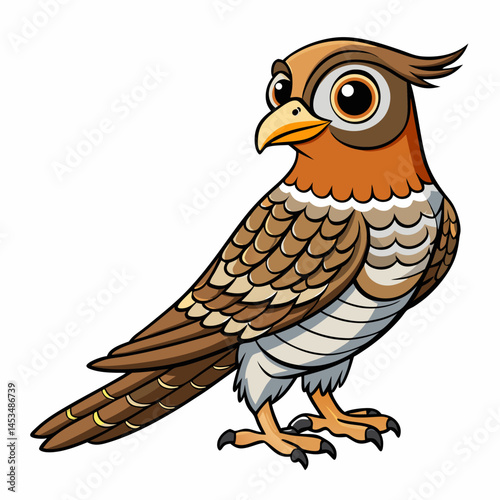 common nighthawk white background