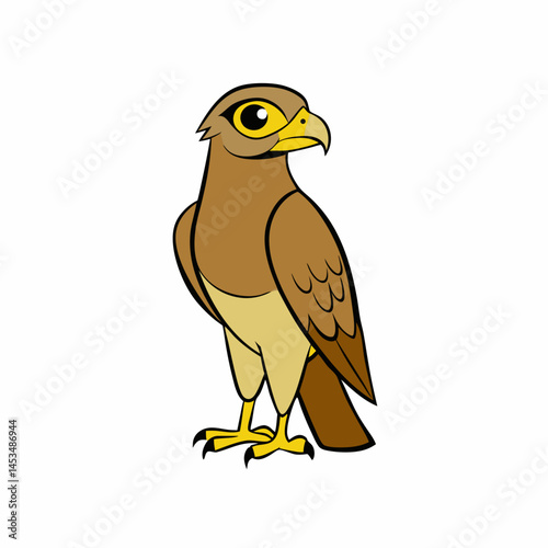 cooper s hawk white background.