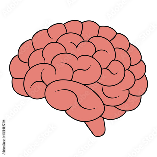 Salmon hued cerebral brain with thick black outline presented on a transparent background