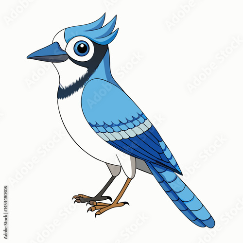 eurasian jay white background.