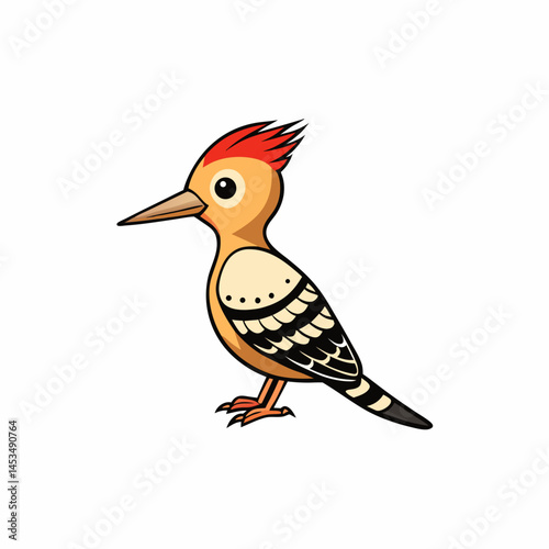  gila woodpecker white background