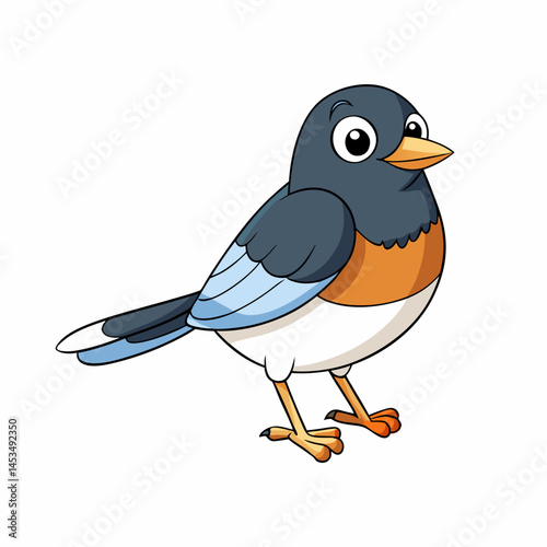  junco white background.