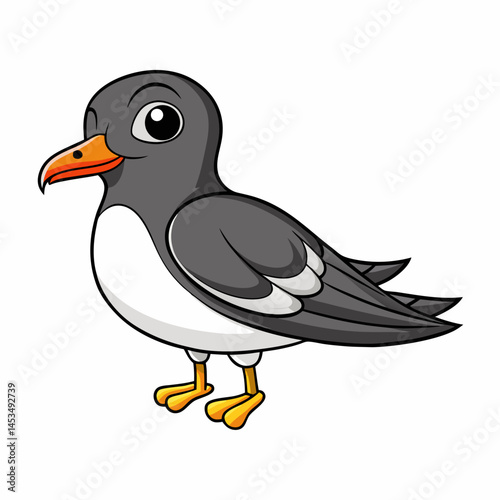  leach s storm petrel bird white background
