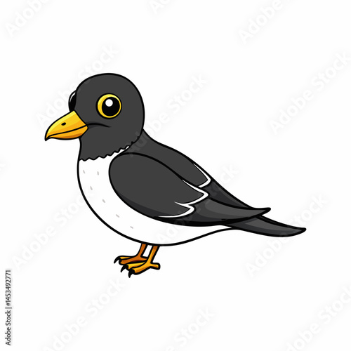  leach s storm petrel bird white background