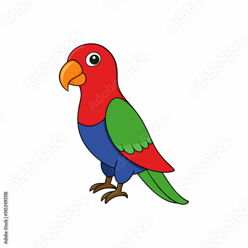 lory bird on white background