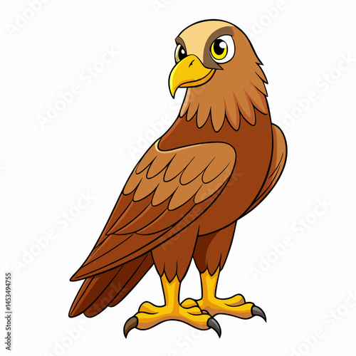 marsh harrier bird  on a white