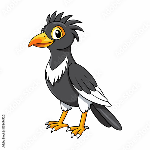 mynah bird  on a white background