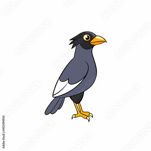 mynah bird  on a white background