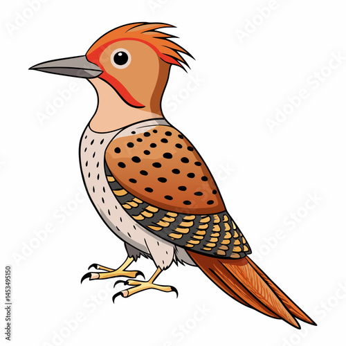 vector illustration of a northern bird
