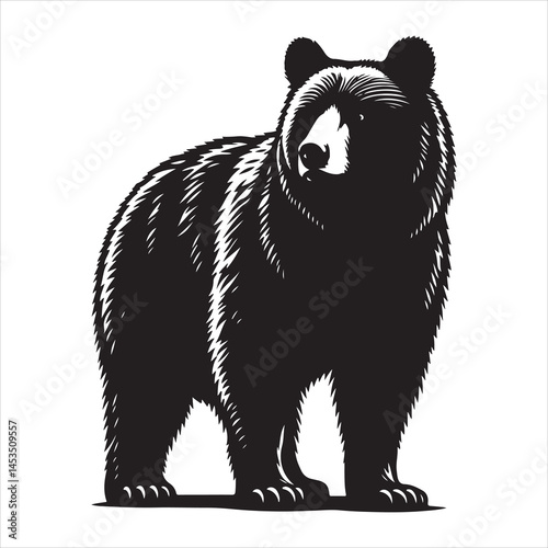 Silhouette vector of a bear standing on white background