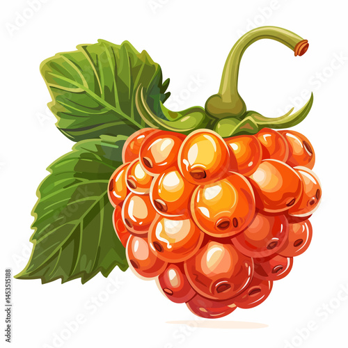 Cloudberry fruit 