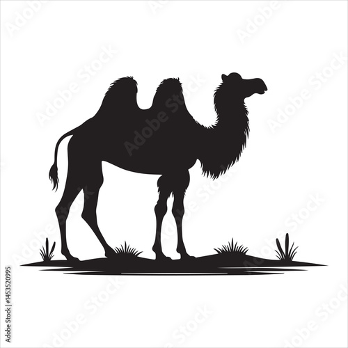 Silhouette vector of a camel standing on a white background