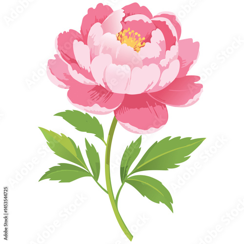 Elegant Peony Flower Illustration – Botanical Art for Prints, Design & Decor