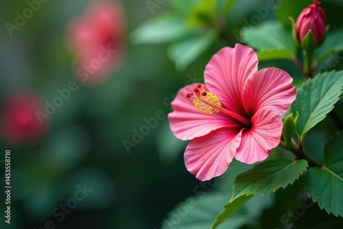 Delicate hibiscus buds and flowers, stylized repeating design , vintage, abstract