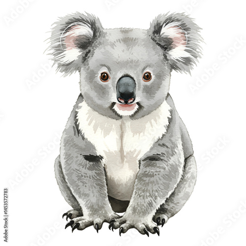 A Cute Baby Koala Water color Illustration Sitting Isolated on Transparent Background PNG 
