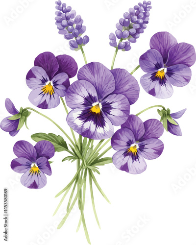 Purple Pansies and Grape Hyacinths Illustration