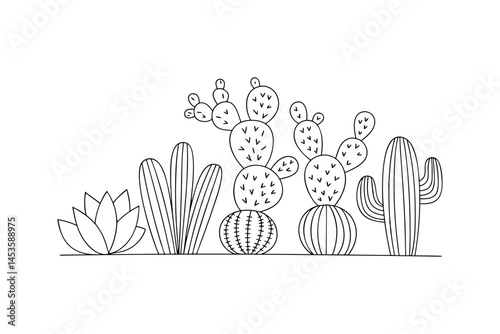 Succulent and cactus plant vector illustration in modern line art style 