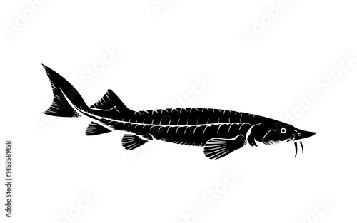 Sturgeon Fish Silhouette Vector Illustration for Seafood and Fishing Design