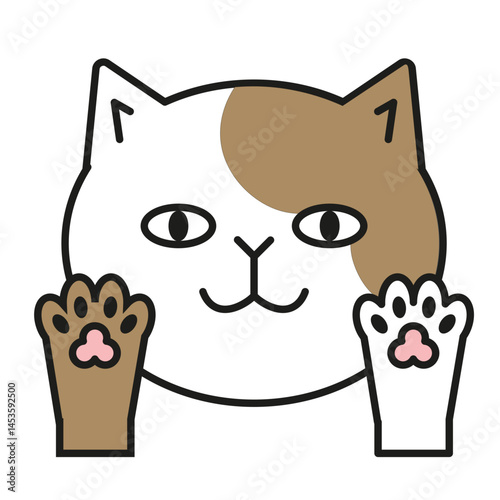 Character Cat cartoon Face vector illustration
