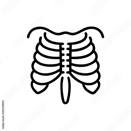 ribs